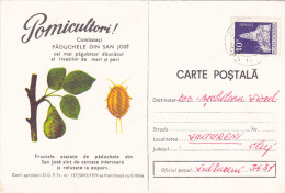 SAN JOSE SCALE, PEAR, PESTS ADVERTISING, AGRICULTURE, SPECIAL POSTCARD, 1976, ROMANIA - Agriculture