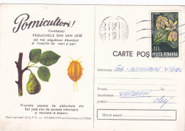 SAN JOSE SCALE, PEAR, PESTS ADVERTISING, AGRICULTURE, SPECIAL POSTCARD, 1975, ROMANIA - Agriculture