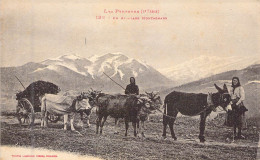 ATTELAGES - LES PYRENEES - Un Attelage Montagnard - Carte Postale Ancienne - Equipaggiamenti