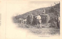 ATTELAGES - La Fenaison En Auvergne - Edit P Juliot - Carte Postale Ancienne - Teams