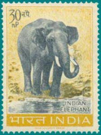 India 1963 ~ Wildlife Preservation - Fauna / Wild Animals 1v Stamp ELEPHANT USED (Cancellation Would Differ) - Used Stamps