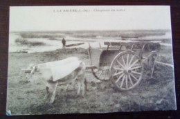 CPA - La Brière - Chargement Des Mottes - Saint-Lyphard