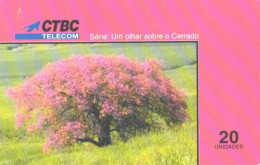 Brazil:Brasil:Used Phonecard, CTBC, 20 Units, Cerrado, Tree, 1998 - Brasilien