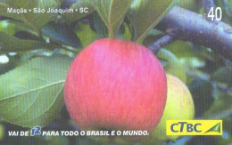 Brazil:Brasil:Used Phonecard, CTBC, 40 Units, Fruits, Apples, 2003 - Brasilien