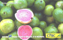 Brazil:Brasil:Used Phonecard, CTBC, 40 Units, Fruits, Guava, 2003 - Brasilien