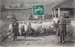 FOLKLORE - Les Pyrénées - Bergères Improvisées - Carte Postale Ancienne - Vestuarios