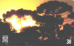 Brazil:Brasil:Used Phonecard, Telepar, 30 Units, Trees And Sunset, 1999 - Brasilien