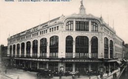 Roanne  Les Grands Magasins " Aux Dames De France " - Magasins