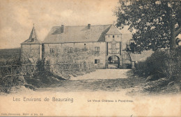 LES ENVIRONS DE BEAURAING  LE VIEUX CHATEAU A PONDROME         2 SCANS - Beauraing