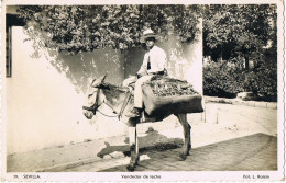 Delcampe - 49695. Postal SEVILLA. Lechero . Vendedor De Leche - Sevilla