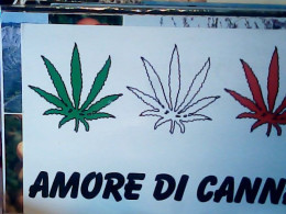 AMORE DI CANNA  HUMOR  CANNABIS HOLLAND N1990 JH10488 - Plantas Tóxicas