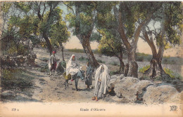 TUNISIE - Gabès - Etude D'Oliviers - Carte Postale Ancienne - Tunisia