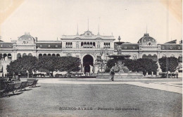 ARGENTINE - Buenos-Aires - Palaccio Del Gobierno - Carte Postale Ancienne - Argentinien