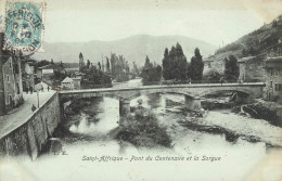 St Affrique * Le Pont Du Centenaire Et La Sorgue - Saint Affrique