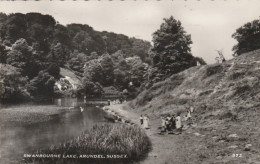 ARUNDEL - SWANBOURNE LAKE - Arundel