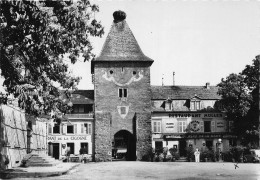 68-TRUCKHEIM- HÔTEL RESTAURANT CH. MULLER PORTE DE FRANCE AVEC NID DE CIGOGNES - Turckheim