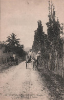 Nouvelle Calédonie - Témala - Une Route Dans Le Centre -  Carte Postale Ancienne - New Caledonia