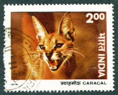 India 1976 ~ Wildlife Preservation - Fauna / Wild Animals 1v "CARACAL - WILD CAT" USED (Cancellation Would Differ) - Sonstige & Ohne Zuordnung