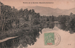 Nouvelle Calédonie - Riviere De La Dumbea -  Carte Postale Ancienne - Nieuw-Caledonië