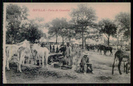 SPAIN - SEVILLA - Feria De Ganados.( Ed.SogeLniola)  Carte Postale - Fiere