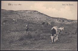 +++ CPA - DE HAAN - LE COQ - Dans Les Dunes - Bétail   // - De Haan