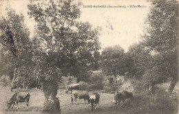 St Nazaire * Hameau Villes Martin * Troupeau Vaches - Saint Nazaire