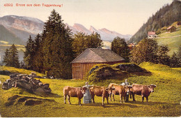 SUISSE - Gruss Aus Dem Toggenburg - Carte Postale Ancienne - Sonstige & Ohne Zuordnung