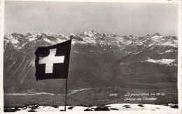 SUISSE - Le Panorama Vu De La Cabane Des Violettes - Carte Postale Ancienne - Sonstige & Ohne Zuordnung