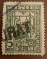 Romania 1918 Tax Due The Queen Weaving 5B - Used - Revenue Stamps