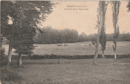 BE23 - ORGEVAL  EN  YVELINES LES PRES DE LA VERTE SALLE  AU VERSO CACHET REGT GENIE    CPA  CIRCULEE - Orgeval