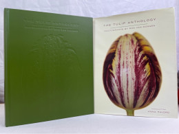 The Tulip Anthology. - Natura