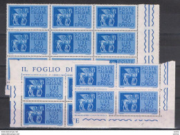 REPUBBLICA:  1968/76  ESPRESSI  -  £. 250  AZZURRO  N. -  RIPETUTO  17  VOLTE  -  SASS. 37 - Express/pneumatic Mail