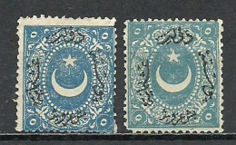 Turkey; 1868 Duloz Postage Stamp 5 K. "Color Variety" (Grey-Blue) - Neufs