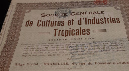 Société Générale De Culture Et D'Industries Tropicales - Action Ordinaire Au Porteur - Bruxelles Le 20 Octobre 1924. - Landbouw