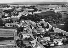 71-VERDUN-SUR-LE-DOUBS- LES BORDES VUE AERIENNE - Altri & Non Classificati