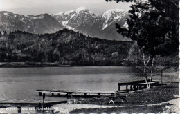 Klopeiner See Mit Hochobir 1963 (12657) - Klopeinersee-Orte