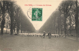 Draveil * L'avenue Du Château * Troupeau De Moutons * Berger - Draveil