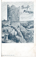 Gruss Aus Mödling - Schwarzer Turm 1890 (12658) - Mödling