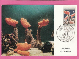 Carte Maximum - Nouvelle Calédonie - 1964 - Aquarium De Nouméa - Premier Jour - Maximumkarten