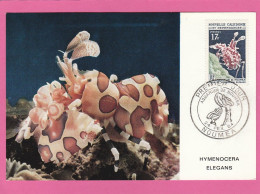 Carte Maximum - Nouvelle Calédonie - 1964 - Aquarium De Nouméa - Premier Jour - Maximumkaarten