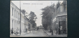 62 , Audruicq , L'avenue De La Gare En 1917 - Audruicq