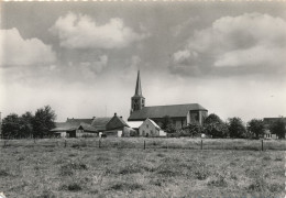 ST.MARIA LIERDE   H.MARIA MAGDALENAKERK    FOTO KAART     2 SCANS - Lierde