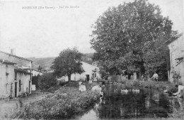 Bief Du Moulin - Poissons