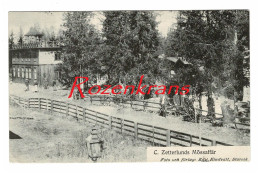 Sweden Sverige Suede Schweden Zetterlunds Mossaffar Storvik AK Postcard Carte Postale Vykort Brevkort - Sweden