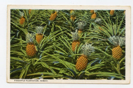 HAWAII - Pineapple Plantation  ( 2 Scans ) - Hawaï