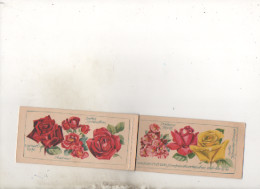 Allemagne -  Carnet De Timbres - Roses  Avec Leurs Noms De Baptêmes  - 12 Timbres -  3 Scans - - Booklets