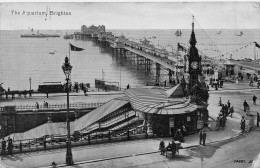 ANGLETERRE - Brighton - The Aquarium - Carte Postale Ancienne - Autres & Non Classés