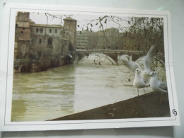 Cartolina "ROMA Gabbiani Sull'Isola Tiberina" - Fiume Tevere