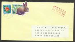 Japon Lettre Voyagé 1999 Avec Timbre Lapin Forme Insolite Japan Postally Used Cover 1999 With Unusual Shape Rabbit Stamp - Conejos