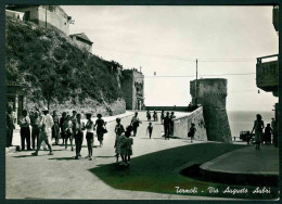 VT125 - TERMOLI - VIA AUGUSTO AUBRI - ANIMATA CAMPOBASSO 1954 - Otros & Sin Clasificación